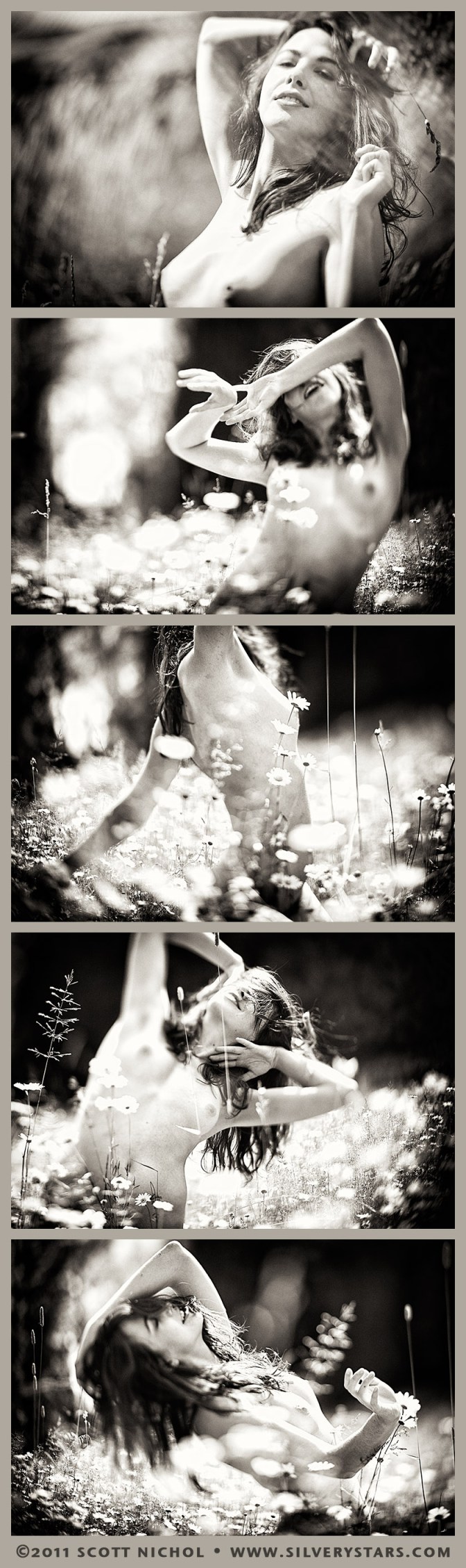 Sie Ist Idaho - Lotus Flower