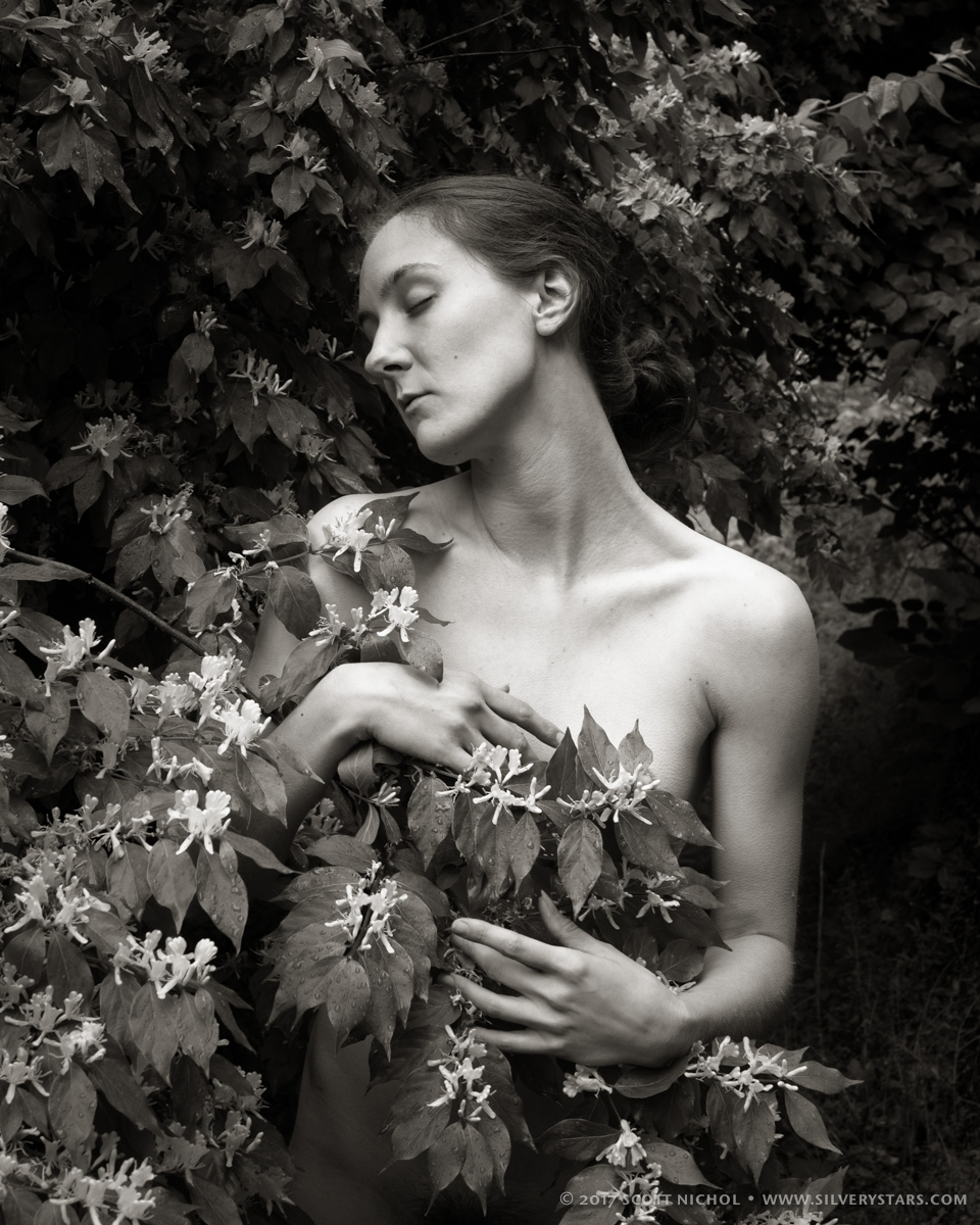 Floral Portrait - Erica Jay