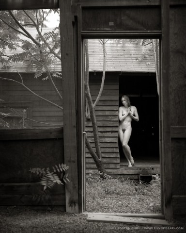 Little Pond, Frame 11