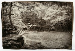 Van Dyke Brown Print - Blue Riverdreams