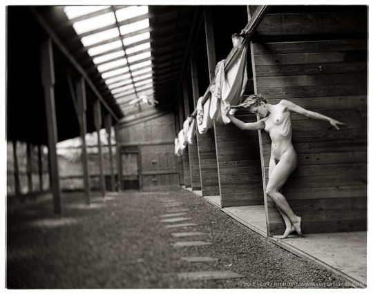 Little Pond, Frame 5