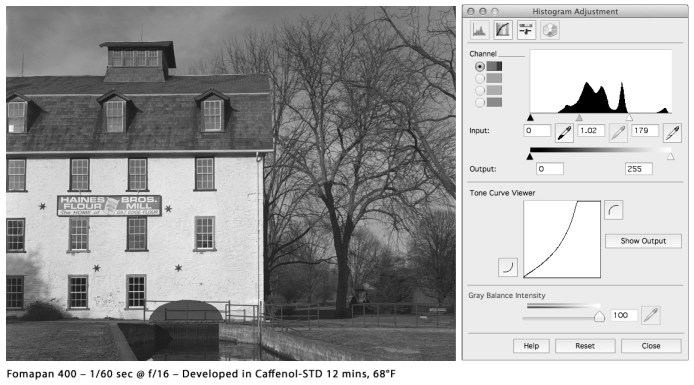 Caffenol-1-Fomapan400-125f16-12min68-Histo
