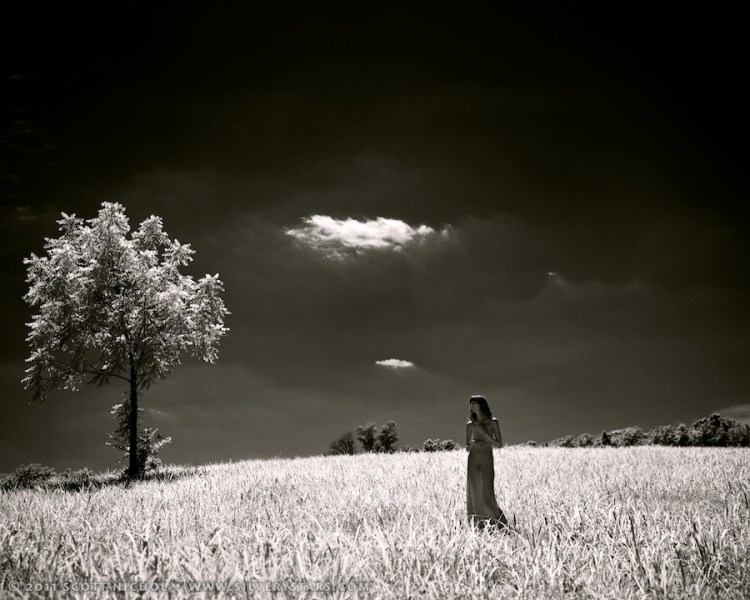 Kaitlin Laura - never should have been