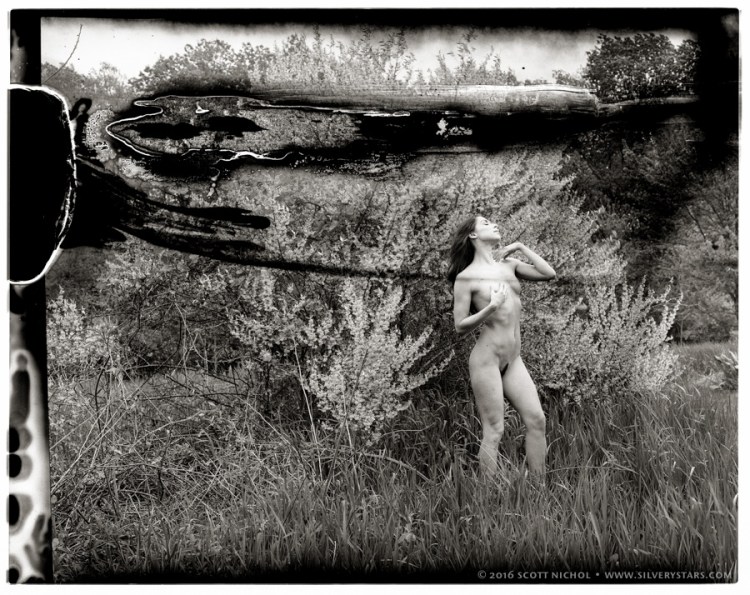 Floofie - Little Pond - New55 Film