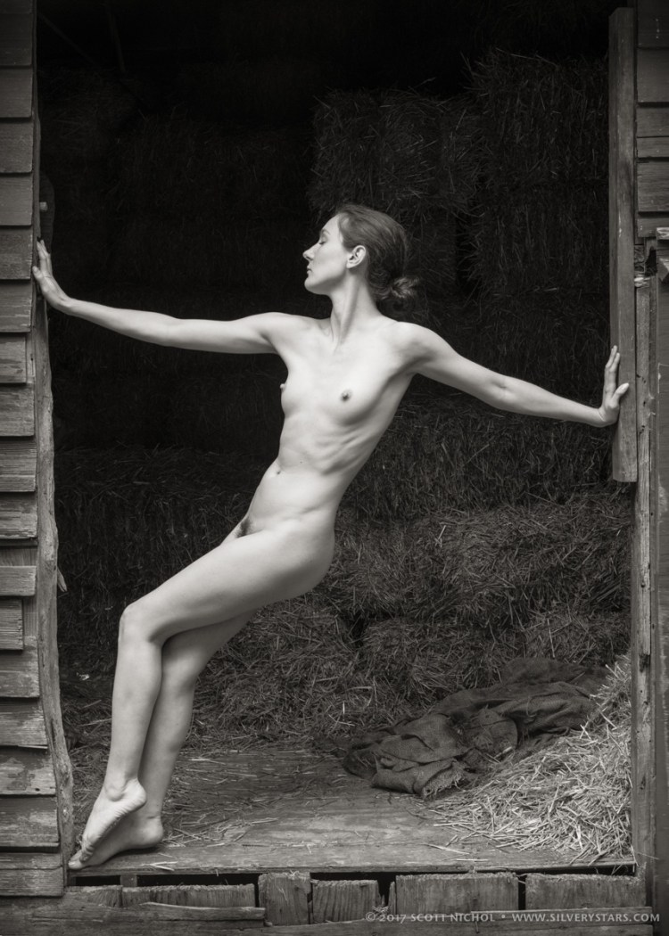 Hay Loft - Erica Jay