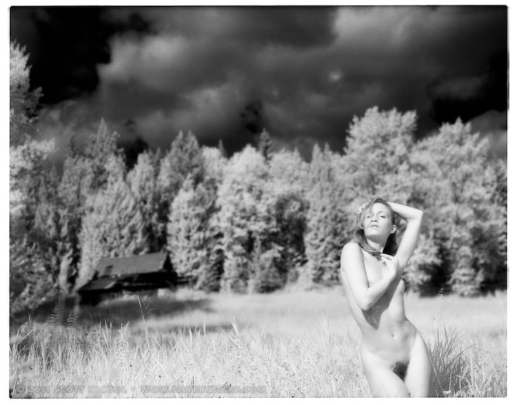 Stephanie Anne Landers - Collected Sunlight