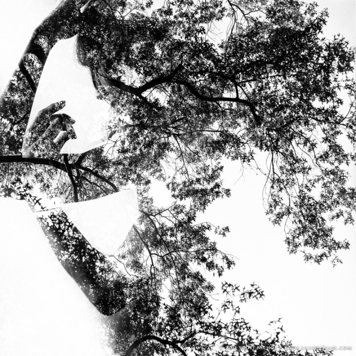 Kaitlin - Autumn Leaves