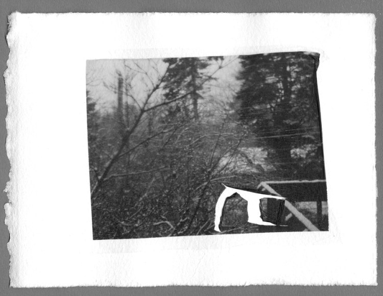 A later emulsion lift.  Only part of the emulsion tore this time.