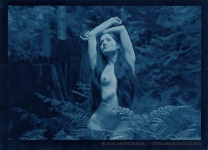 Rhus-Rossland Ferns Rhus - Rossland Ferns