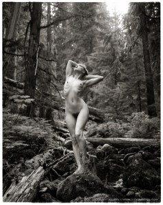 Brooke, Rossland 2012, No. 2
